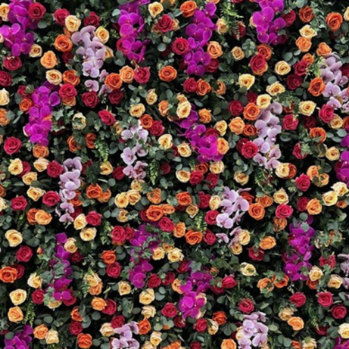 Rainbow Flower Wall