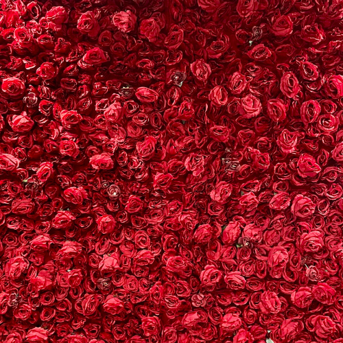 Red Flower Wall